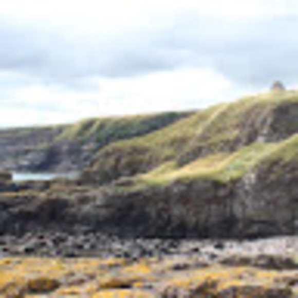 Meet your Posher, Alex - Picture 1 of 1